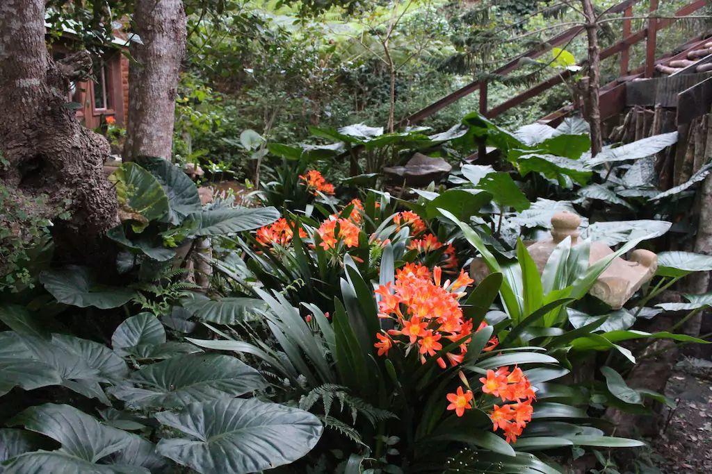 Nature'S Valley Health Retreat A Hide Away In The Forest Exterior photo