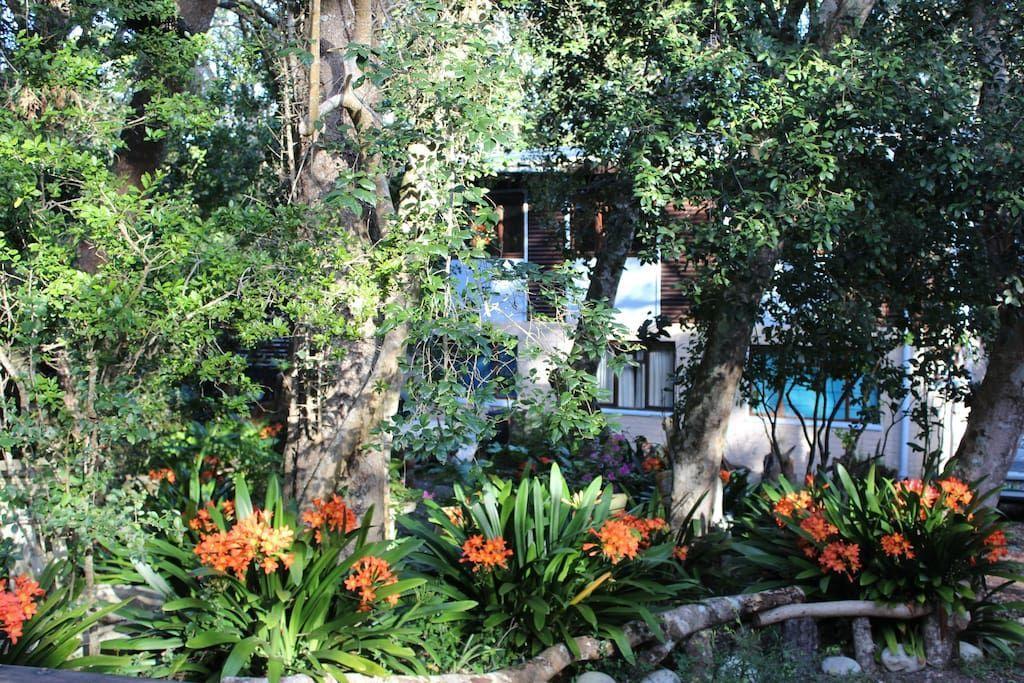 Nature'S Valley Health Retreat A Hide Away In The Forest Exterior photo